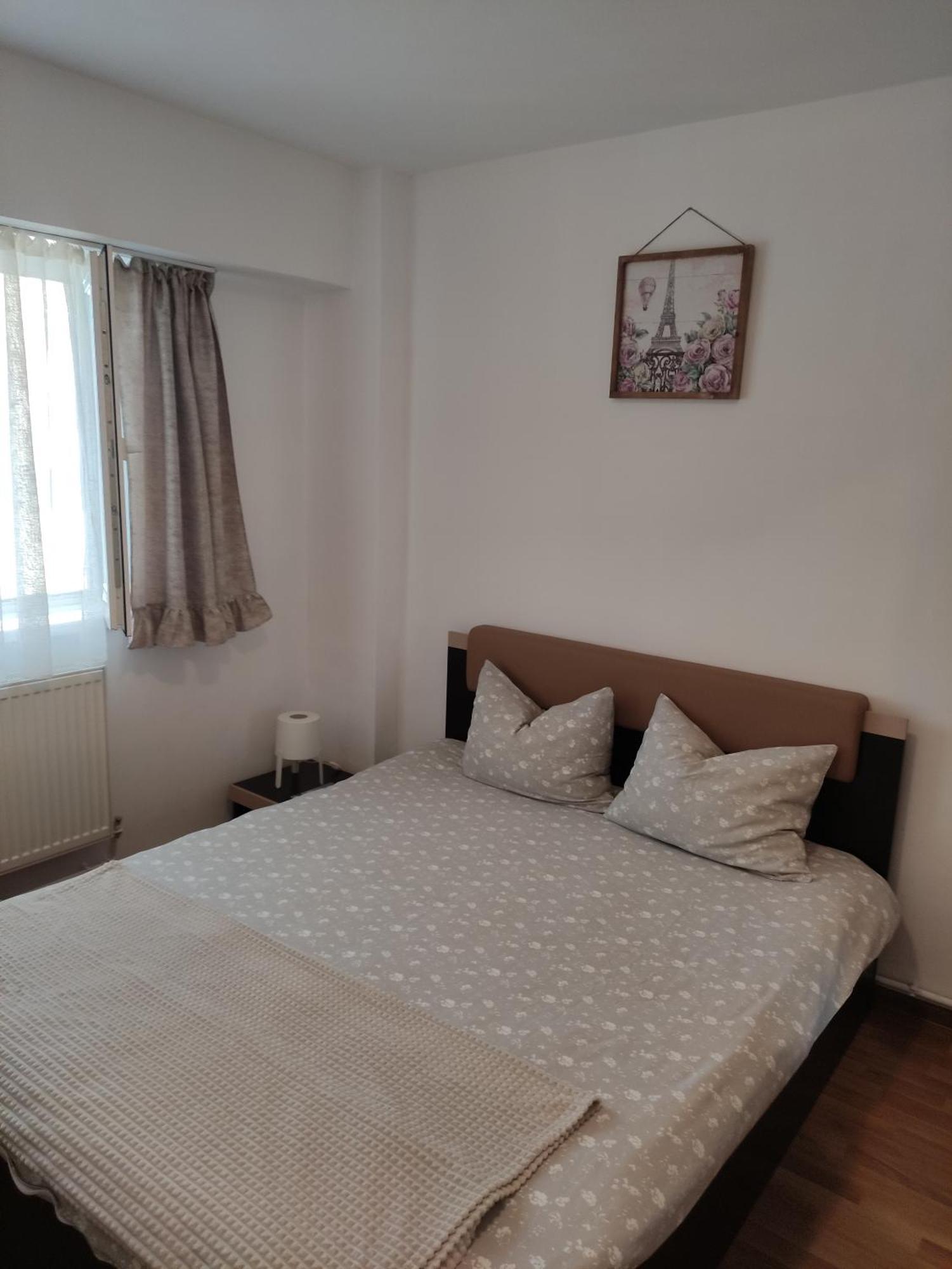 Central Parkview Apartment 巴亚马雷 外观 照片