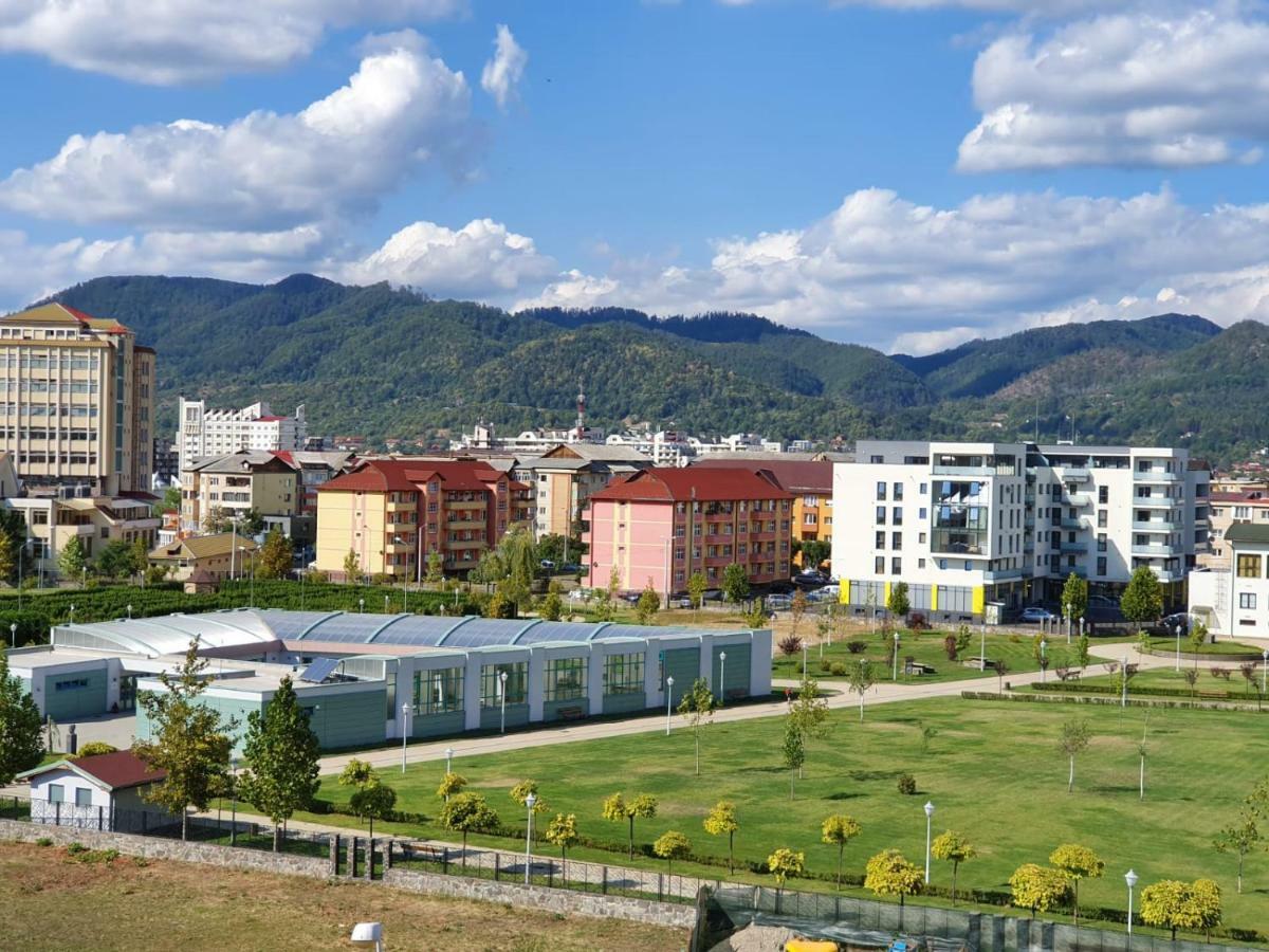 Central Parkview Apartment 巴亚马雷 外观 照片