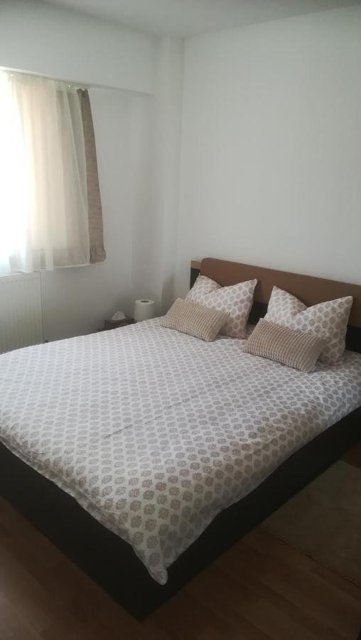 Central Parkview Apartment 巴亚马雷 外观 照片